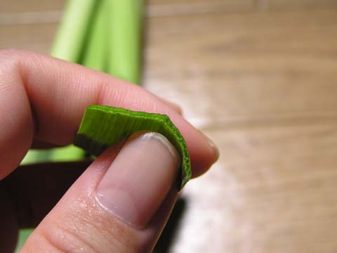 �t�j���j�N