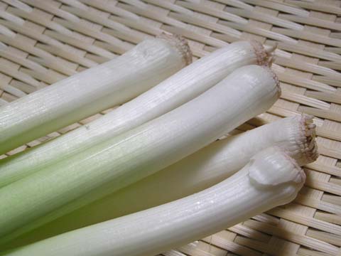 �t�j���j�N