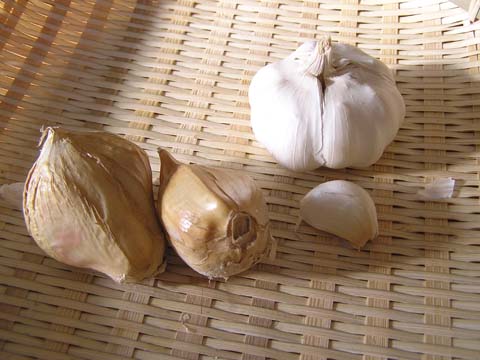 �W�����{�j���j�N