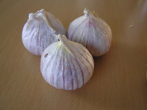 �~�j�j���j�N