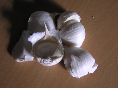 �X���Y�j���j�N�A�i��s��