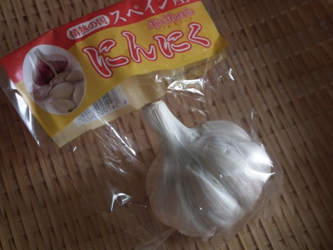 �X�y�C���j���j�N