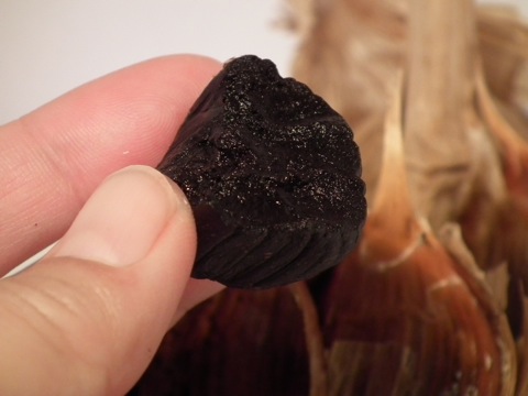 ���j���j�N