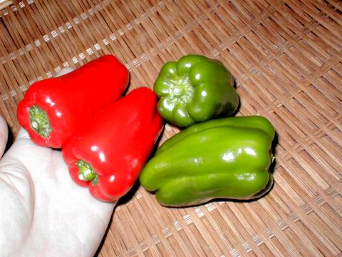 �s�[�}���Ɛԃs�[�}��