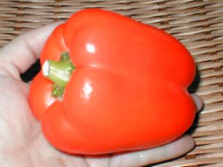 �I�����W�F�̃p�v���J