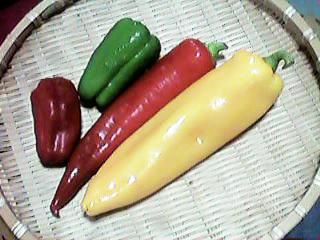 �o�i�i�s�[�}���i�n�j�[�e�B���j