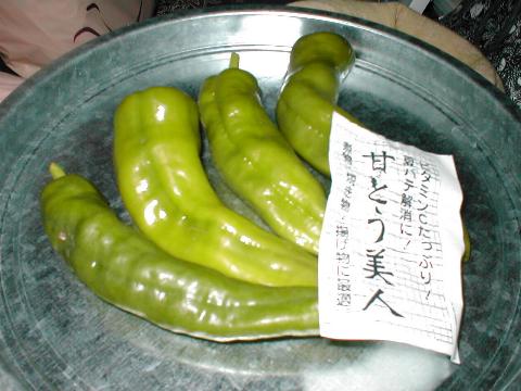 �ÂƂ����l