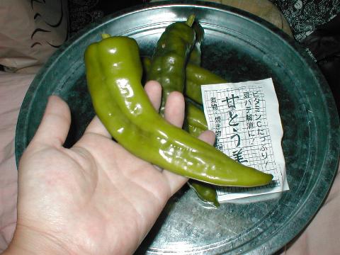 �傫���͂��̂��炢