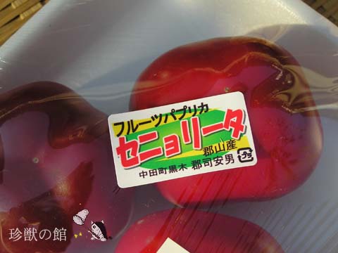 �؂��Ă݂���c