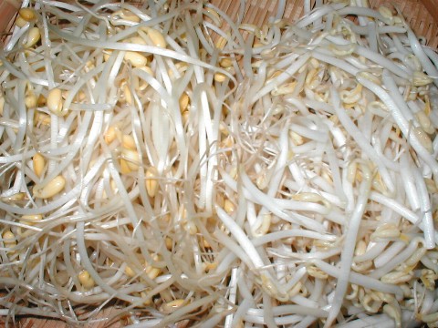 �哤�����V�i���j�ƗΓ������V�i�E�j