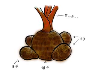 �}���F�Z���x�X