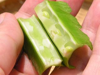 ���������Ă���