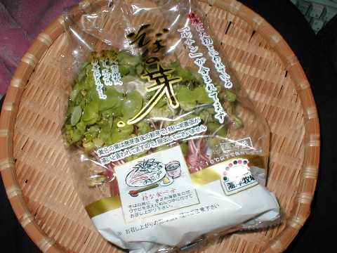 �����̃X�v���E�g