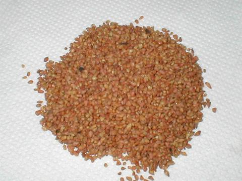 �_�b�^���\�o