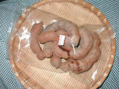 �^�}�����h