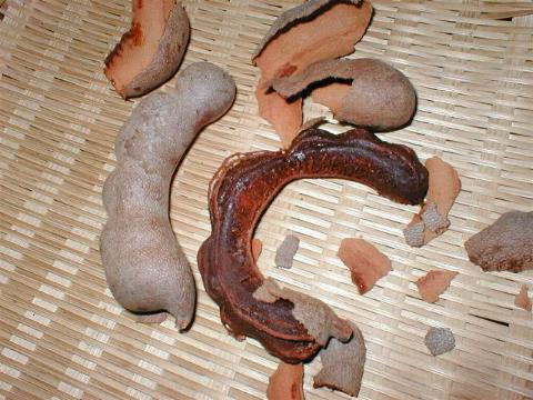 �^�}�����h�̒��g