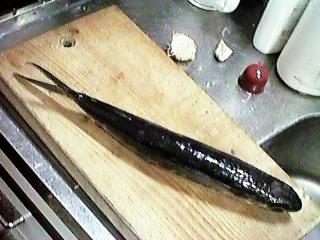 �ォ�猩���g�r�E�I