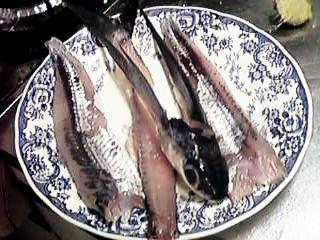 �O���ɂ��낵���g�r�E�I