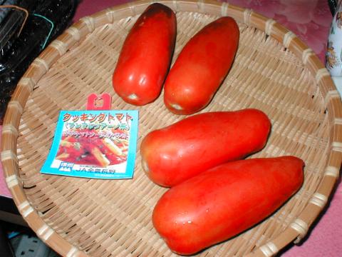 �T���}���c�@�[�m�i�g�}�g�j