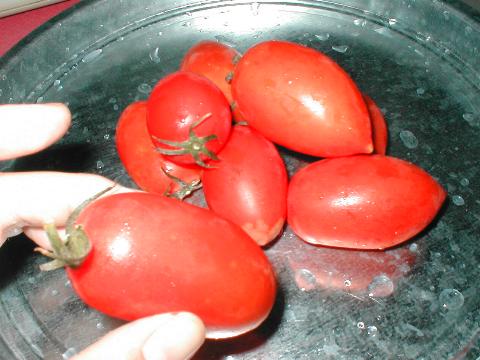 �y�A�g�}�g