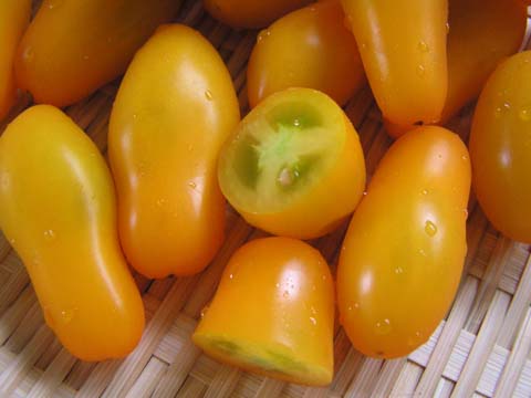 ���F���y�A�g�}�g