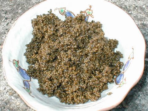 �g���u��