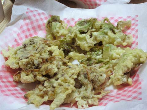 �c�N�V�̂Ă�Ղ�