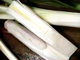 ���邢�c�f��