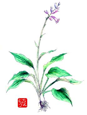 �I�I�o�M�{�E�V