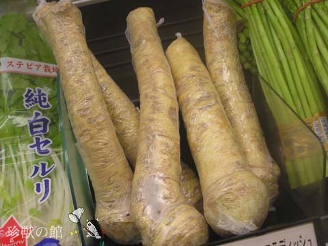 �Z�C���E���T�r