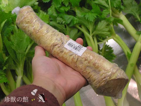 �Z�C���E���T�r