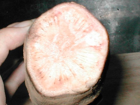 ���[�R���̐؂��