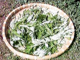 �E�ݎ���������M