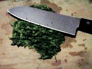 䥂ł��獏��