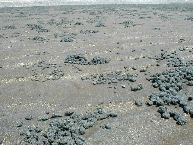 �߂Â��Ă݂�