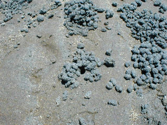 �����Ƌ߂Â��Ă݂�