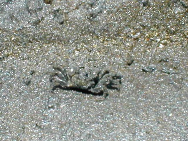 �Ȃ񂾂���́H