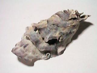 �}�K�L�i���Ԃ�j