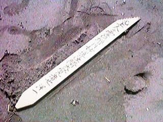 ���ɗ����Ă��H�I