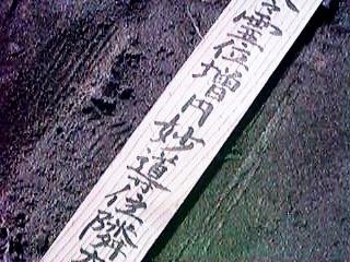 �����k�̂ǃA�b�v�ʐ^