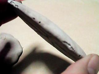 �^�R�m�}�N���i�^���j