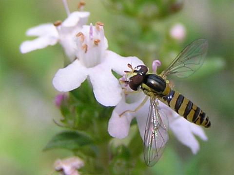 �z�\�q���q���^�A�u