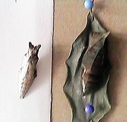 �A�Q�n��匂ƃA�I�X�W�A�Q�n���