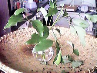 ���b���𒎎���@