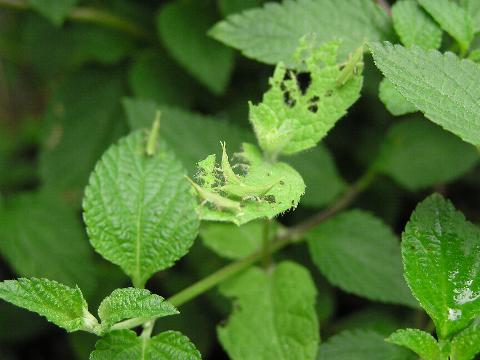 ��������H