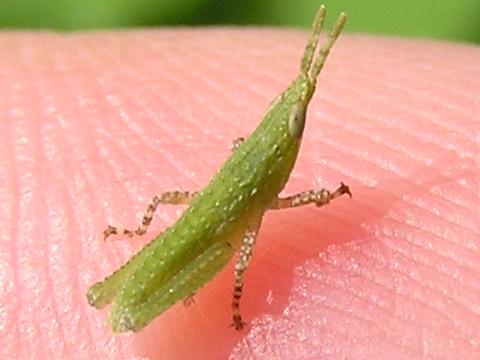 �����`��