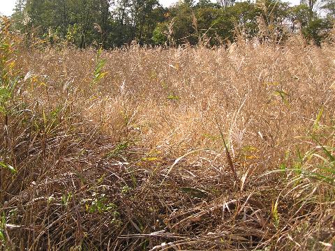 �͂ꂽ����