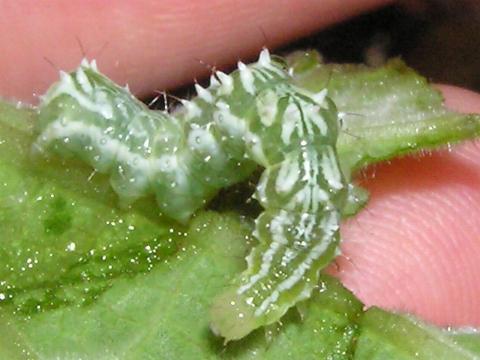 �E���L���E���o