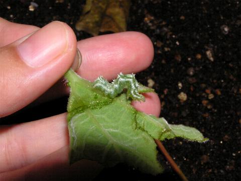 �E���L���E���o