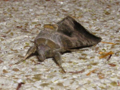 �O����ʂ��Ă݂�